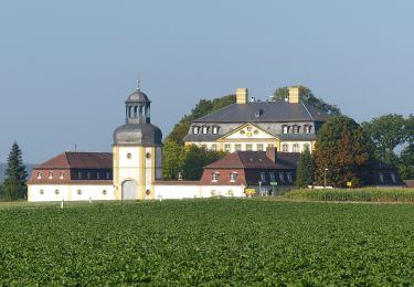 Excursión A pie Eggolsheim - Lauferlebnis Fränkische Schweiz E5 - Photo