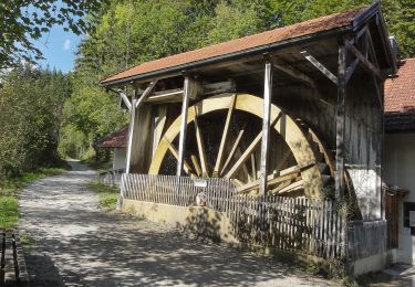 Percorso A piedi Kiefersfelden - Kieferer Energiewanderweg (Grüne Tour) - Photo