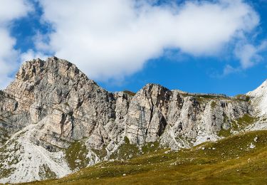 Percorso A piedi Cortina d'Ampezzo - IT-435 - Photo