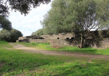 Excursión A pie Biddanoa Truschedu/Villanova Truschedu - Nuraghe Santa Barbara - Photo