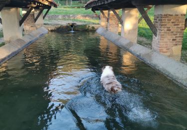 Trail Trail Tossiat - lavoir tossiat- rignat-lavoir tossiat  - Photo