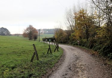 Randonnée Marche Tubize - Oisquercq - Stéhou - Coeurq - Photo