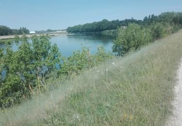 Randonnée Marche Châteauneuf-sur-Loire - 2019-07-07 - Photo