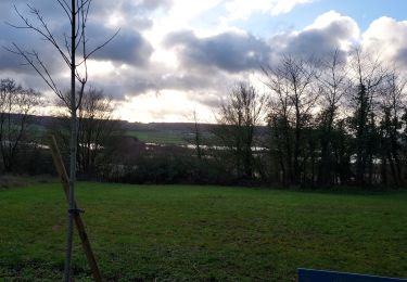 Trail Walking Étigny - Etigny 230115 - Photo