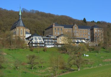 Tocht Te voet Waldbreitbach - Wäller Tour Bärenkopp - Photo