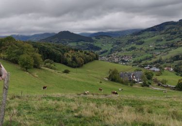 Tour Reiten Urbeis - SityTrail - 2020-10-16 Rando CVA Orbey Aubure - Photo