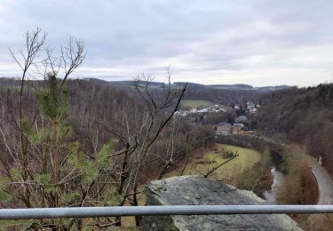 Randonnée A pied Greiz - Greiz Bhf - Caselwitz - Hohndorf - Photo