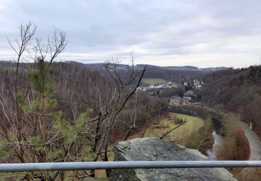 Tocht Te voet Greiz - Greiz Bhf - Caselwitz - Hohndorf - Photo