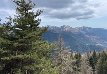 Tour Wandern La Bollène-Vésubie - Turini - Photo