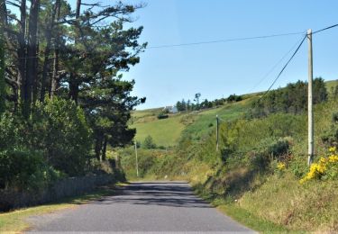 Tocht Te voet West Cork - Caher Loop Walk - Photo