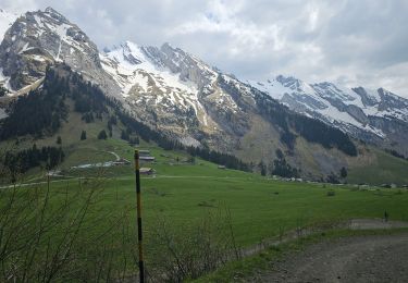 Percorso Mountainbike Le Grand-Bornand - Tour du Danay - Photo