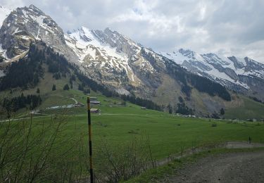 Trail Mountain bike Le Grand-Bornand - Tour du Danay - Photo