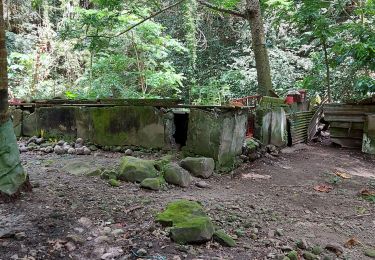 Trail Walking Macouba - Morne Graji Macouba - Photo