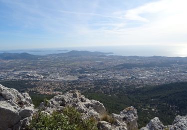 Trail Walking La Valette-du-Var - Le Coudon sportif- la Valette-20-10-21 - Photo