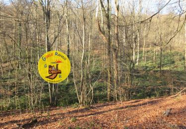 Percorso Marcia Saint-Martin-du-Tertre - SityTrail - GP_FORET-de-CARNELLE_20.5Km - Photo