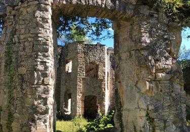 Percorso Marcia Oberlarg - Château de Morimont avec Patrice - Photo