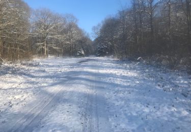 Trail Walking Chimay - Les percés de Bailievre  - Photo