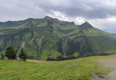 Randonnée Marche Gemeinde Damüls - 2025 07 13 Damuls télésiège  - Photo