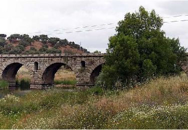 Tour Zu Fuß Seda - Olhar Sobre a Ribeira de Seda - Photo