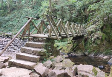 Tocht Stappen Rochesson - Les Roches Saint-Jacques et la Cascade du Bouchot - Photo