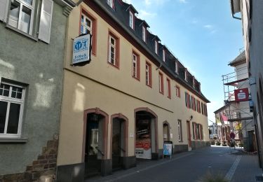 Randonnée A pied Geisenheim - Geisenheimer Rundweg O - Photo