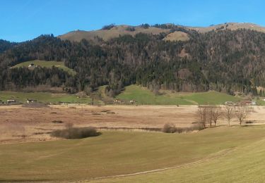 Trail On foot Gemeinde Walchsee - Wanderweg 54 - Kaiserwinkl - Photo