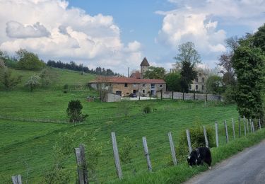 Percorso Mountainbike Fontanès - la fouillouse antenne Aveizieux  - Photo