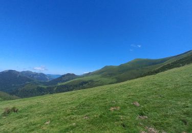 Trail Walking Saint-Lary - Haute Bellongue  - Photo