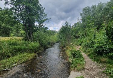 Tour Wandern Hohenfels - rando wibrin 29/07/2021 - Photo