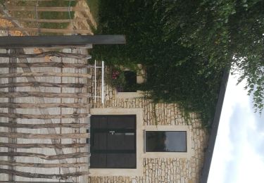 Trail Walking Tintigny - saint-vincent-lutins - Photo