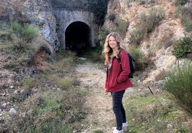 Trail Walking Tourrette-Levens - mt chauve - Photo