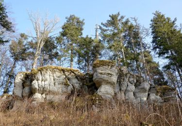 Excursión A pie Gomadingen - Querweg - Oberdigisheim - Weg Nr. 1 - Oberdigisheim - Baienberg - bis zur Weggabelung - Photo