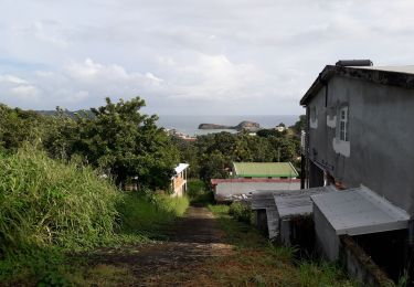 Tour Wandern Sainte-Marie - Balade solidaire Groupama Ste Marie  - Photo