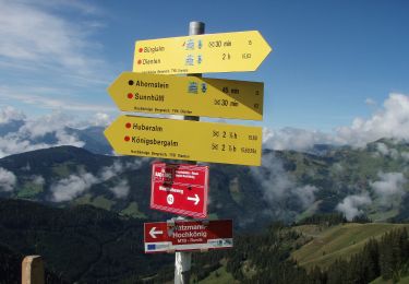 Tocht Te voet Dienten am Hochkönig - Abstecher Zachhofalm - Photo