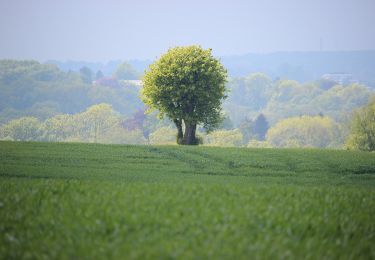 Randonnée A pied Kerken - Eyller See Rundweg A3 - Photo