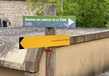 Tour Wandern Arcy-sur-Cure - Arcy sur cure - Boucle des grottes - Photo