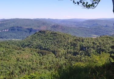 Randonnée Marche Rogna - Rogna Roche de la Joux  - Photo