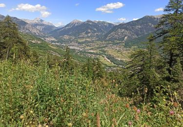 Tour Mountainbike Les Vigneaux - Les Vigneaux - La Ratiere - Photo