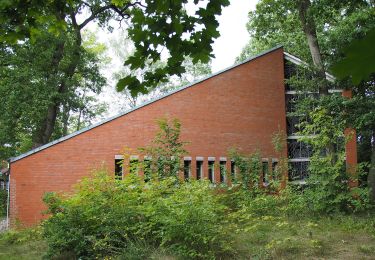 Excursión A pie Südheide - Südheide 'In einem Bächlein helle' W6l (lange Tour) - Photo