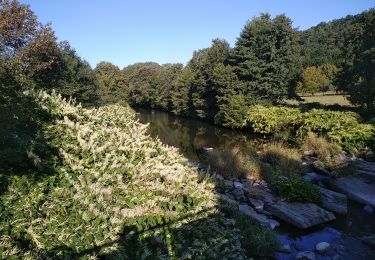 Tour Wandern Sentheim - Marcher au marché 2  - Photo