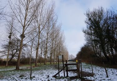 Tocht Stappen Kortessem - Vliermaal  - Photo