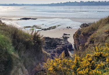 Trail Walking Lancieux - lancieux. les polders tregon - Photo