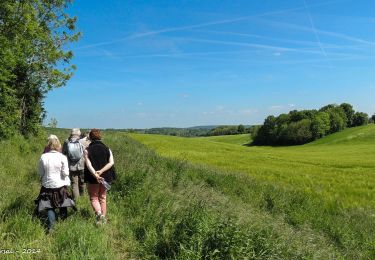 Trail Walking Bellême - Traversées Percheronnes Bellême - Gémages 15,4 Km - Photo