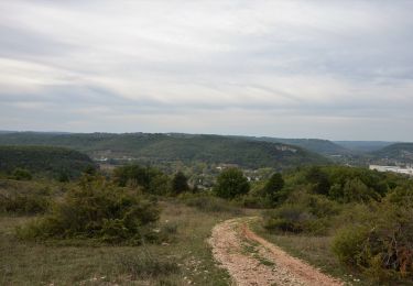 Randonnée A pied Condat-sur-Vézère - Boucle de la Commanderie - Photo