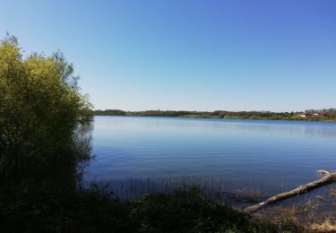 Trail Walking Soumensac - Lac 04042021 - Photo