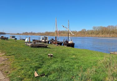 Trail Walking Candé-sur-Beuvron - cande sur beuvron GS 03 2025 21km - Photo