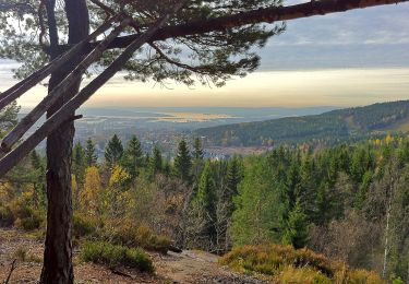 Tocht Te voet Onbekend - Årvollåsen natursti - Photo