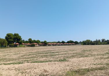 Tocht Stappen Saint-Cyprien - st cyprien les monges. St cyprien plage . St cyprien port . capellans . retour les monges  - Photo