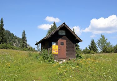 Tocht Te voet Gemeinde Schwarzau im Gebirge - AT-50 - Photo