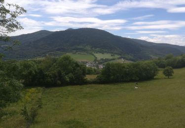 Percorso Marcia Pierre-Châtel - Pierre percée 2019 - Photo